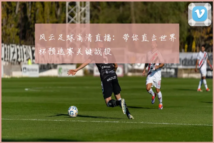 风云足球高清直播：带你直击世界杯预选赛关键战役